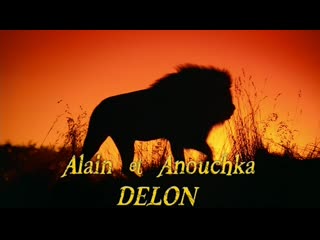 lion / le lion. 2003 directed by: jose pinheiro